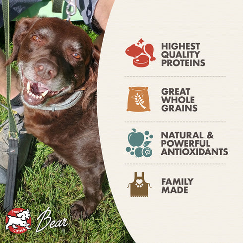Fromm Classic Dry Dog Food - Chicken - 15lb Bag